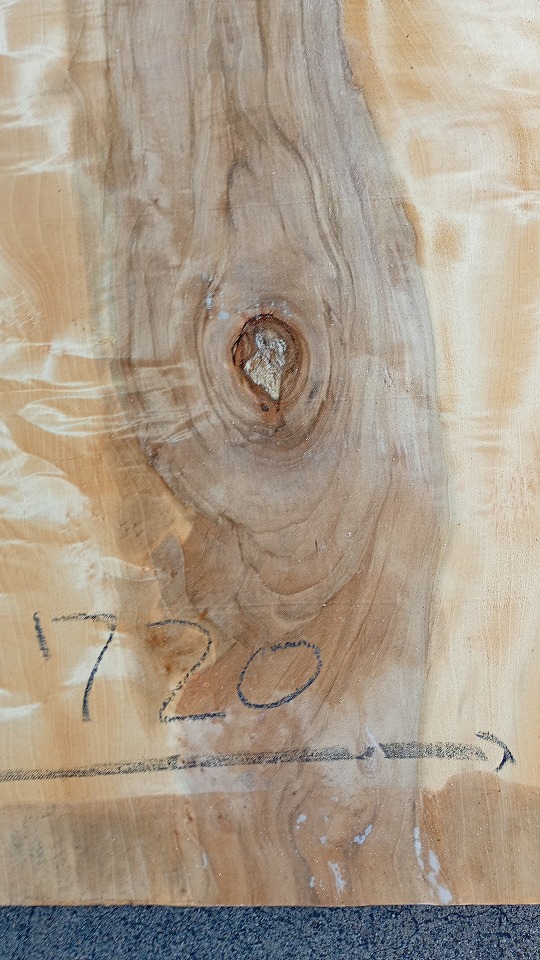 3804C1529