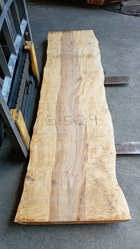 3804C1529