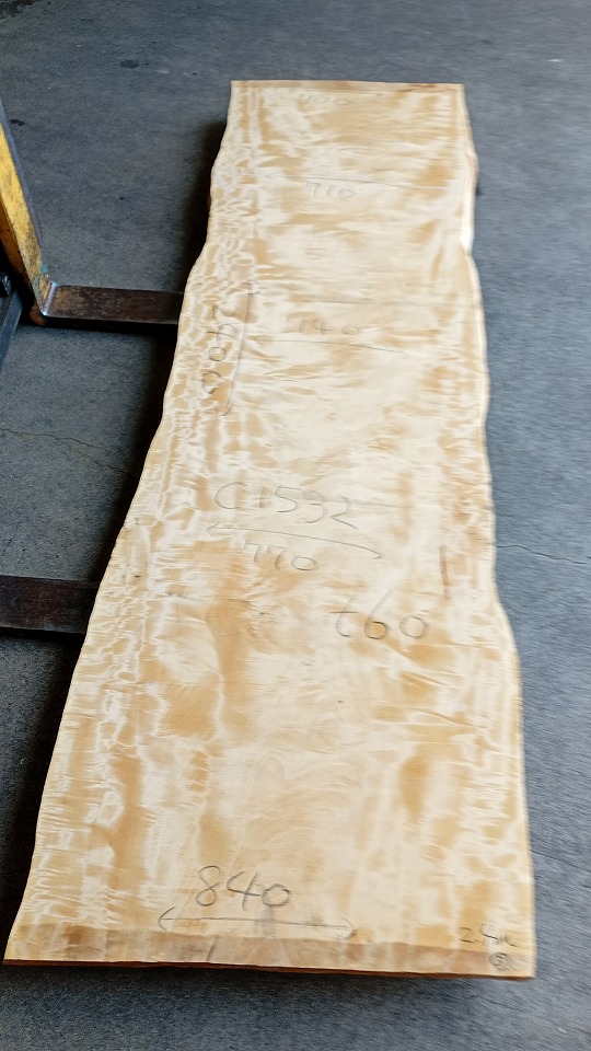 3804C1532