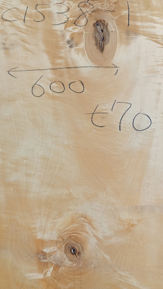 3804C1538-1