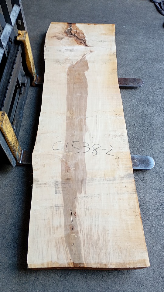 3804C1538-2