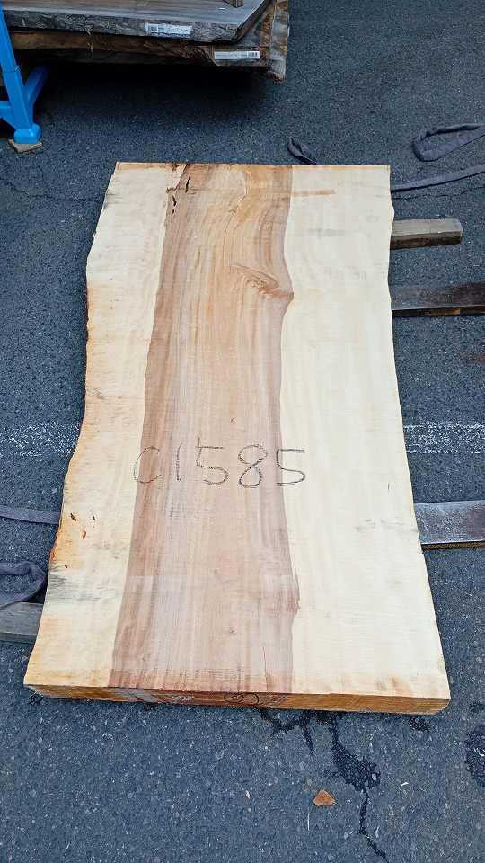 3804C1585