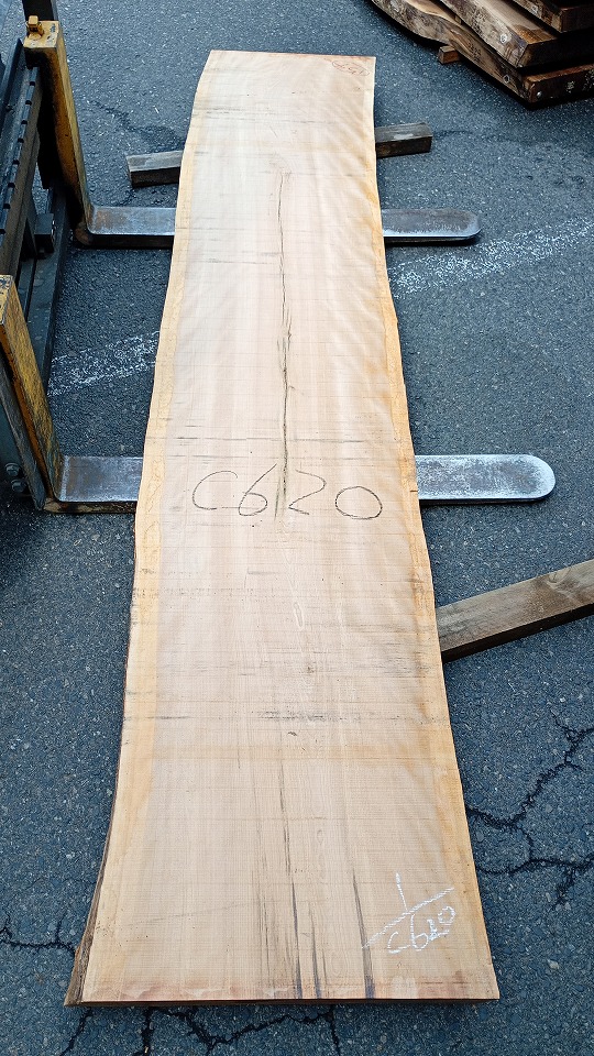 3804C620