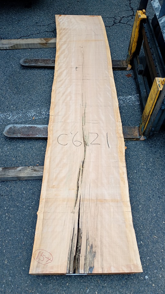 3804C621