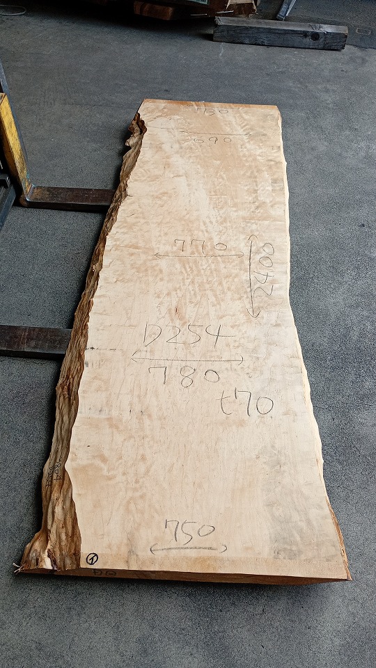 3804D254