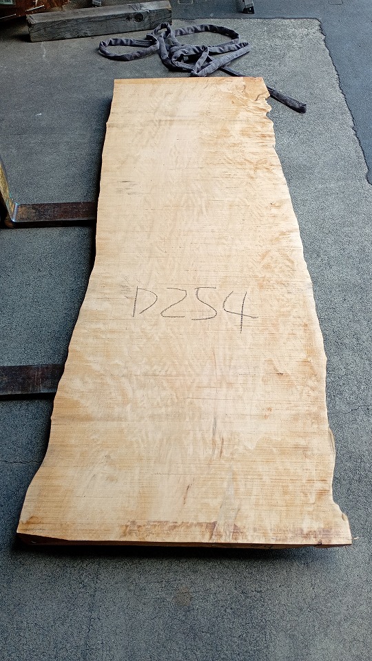 3804D254