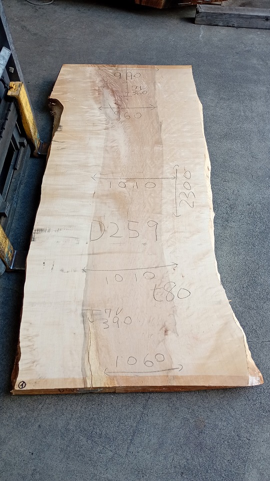 3804D259