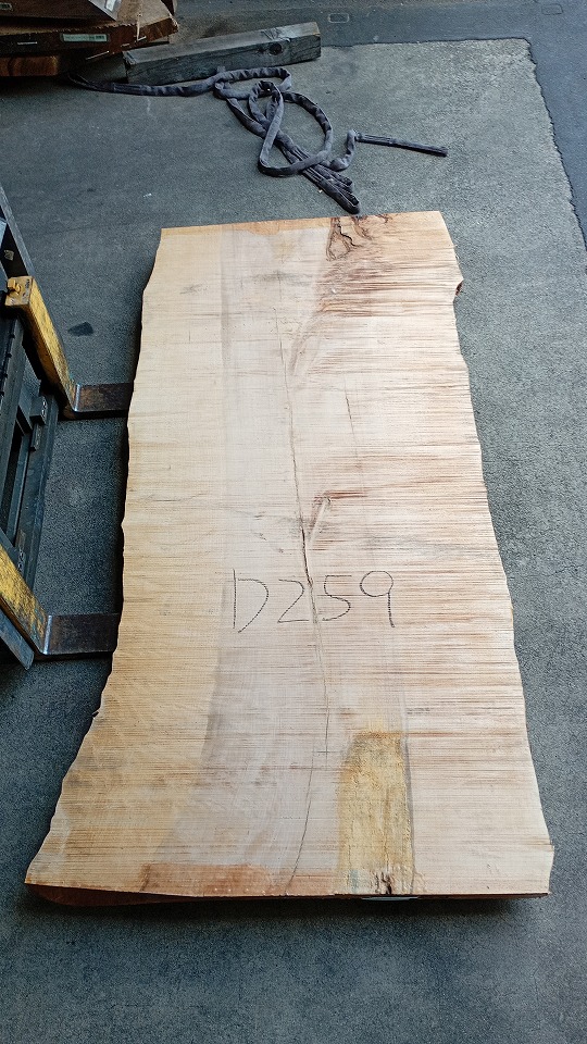 3804D259