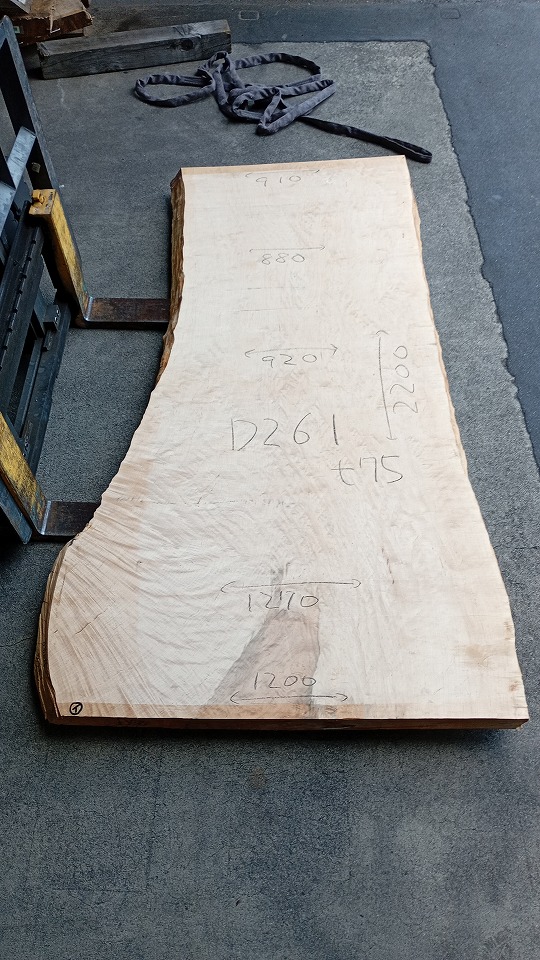 3804D261