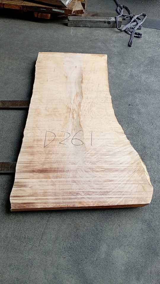 3804D261