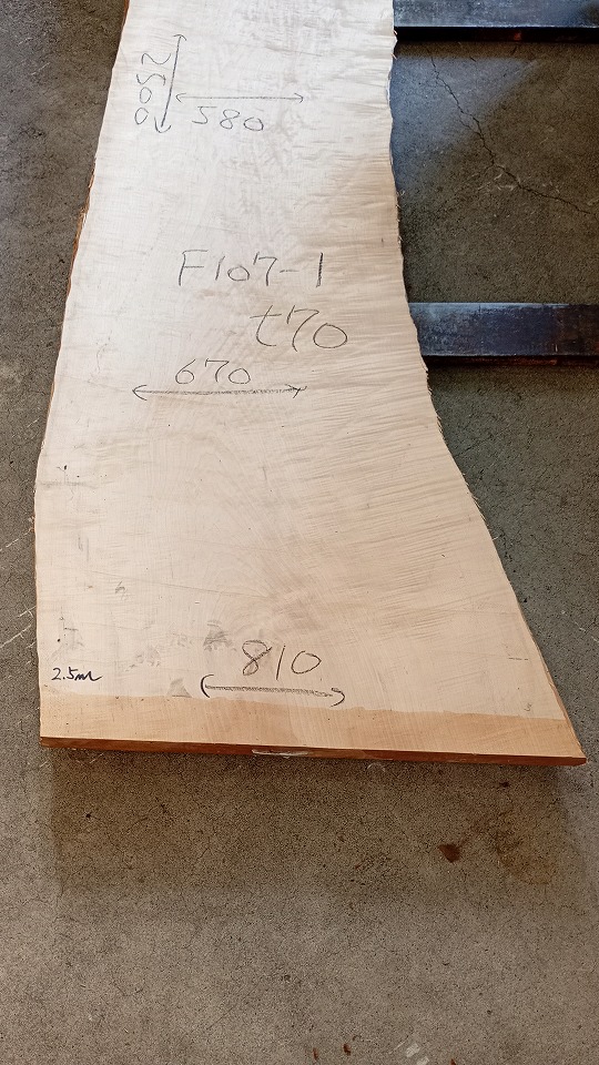 3804F107-1