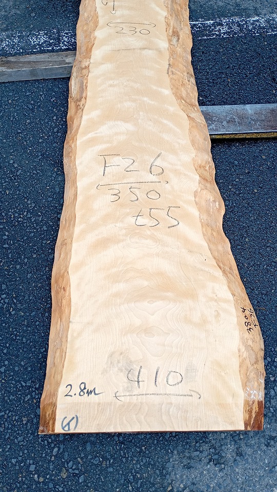 3804F26