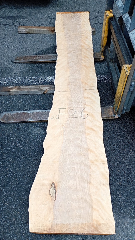 3804F26