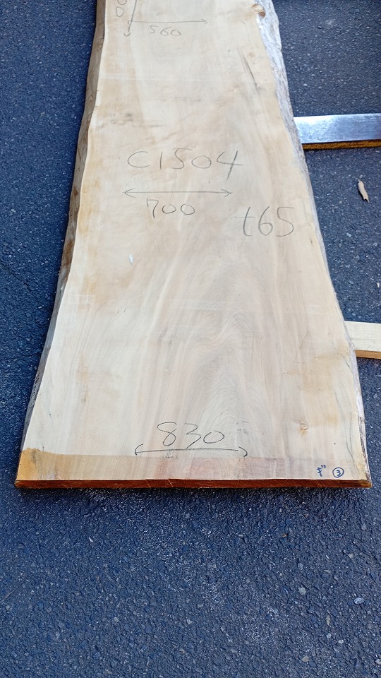 3805C1504