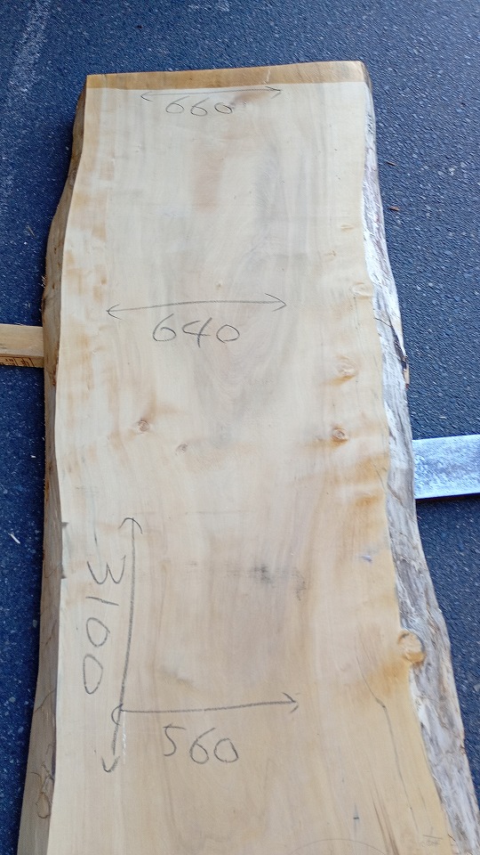 3805C1504