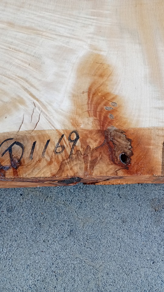3805C1567