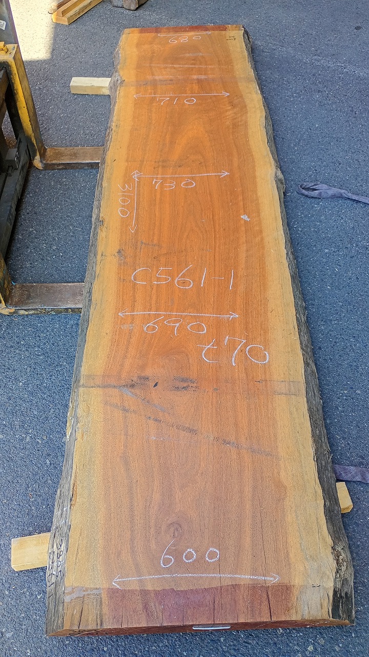 3805C561-1
