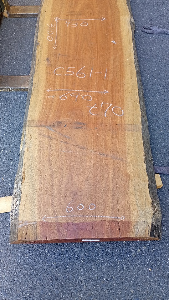 3805C561-1