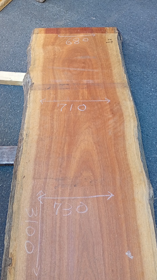 3805C561-1