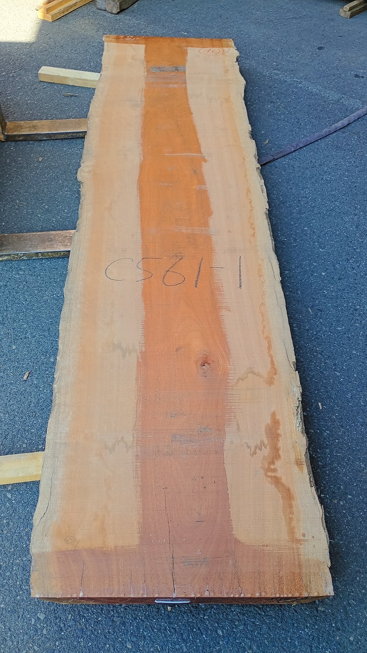 3805C561-1