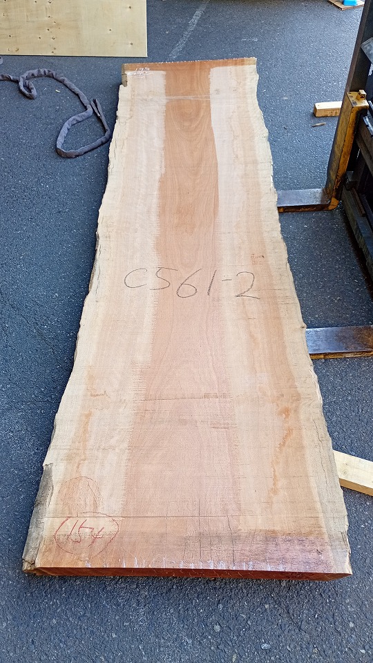 3805C561-2