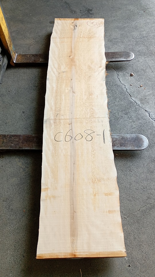 3805C608-1