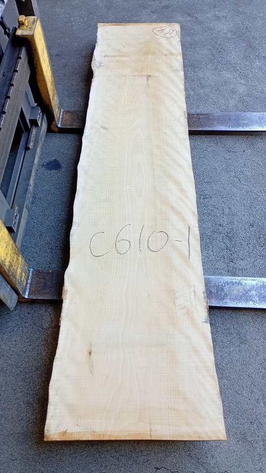 3805C610-1