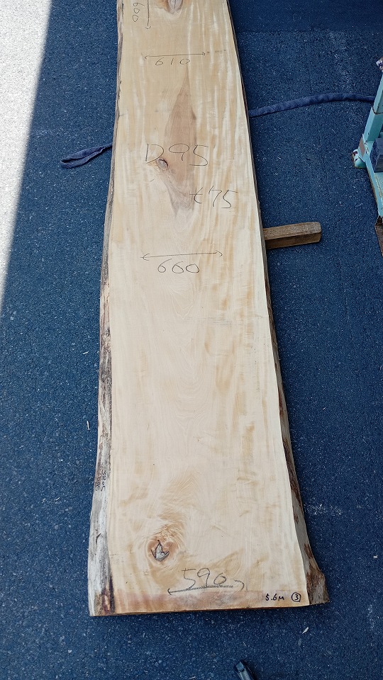 3805D95