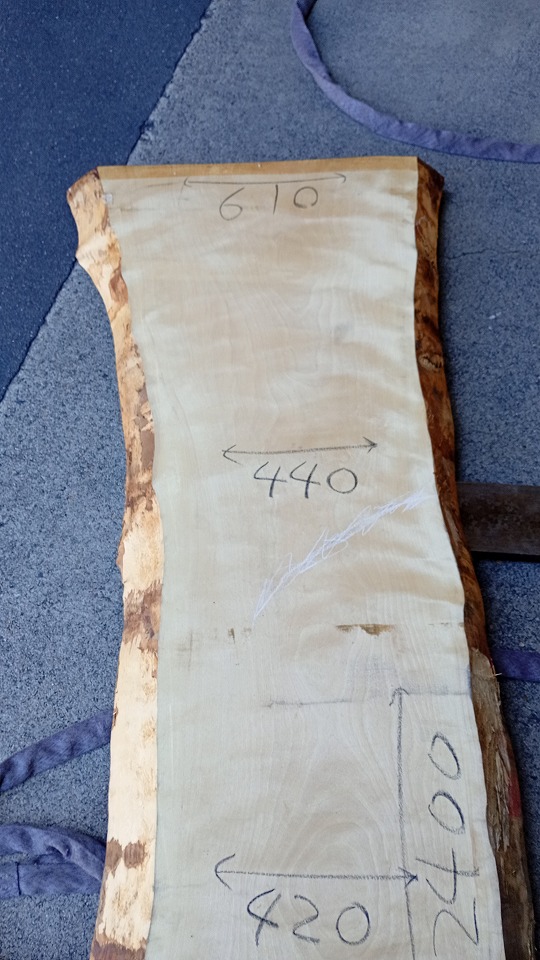 3805F21