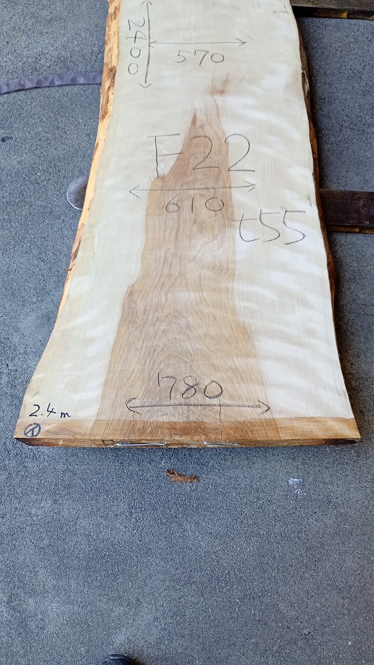 3805F22