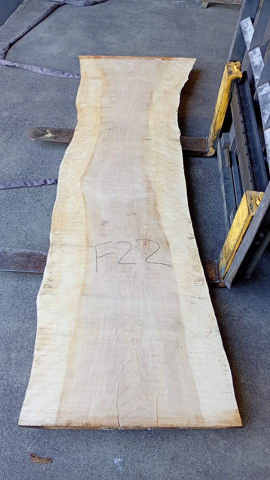 3805F22