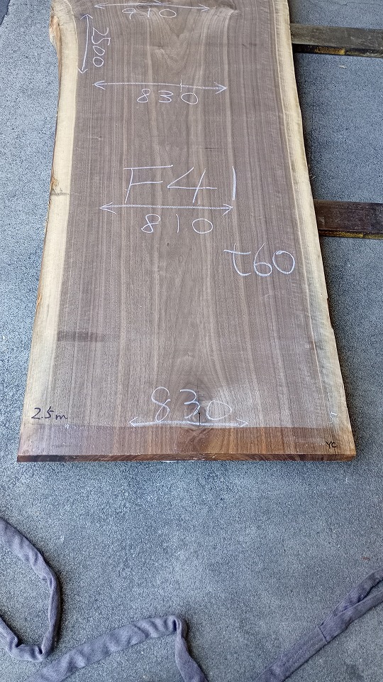 3805F41