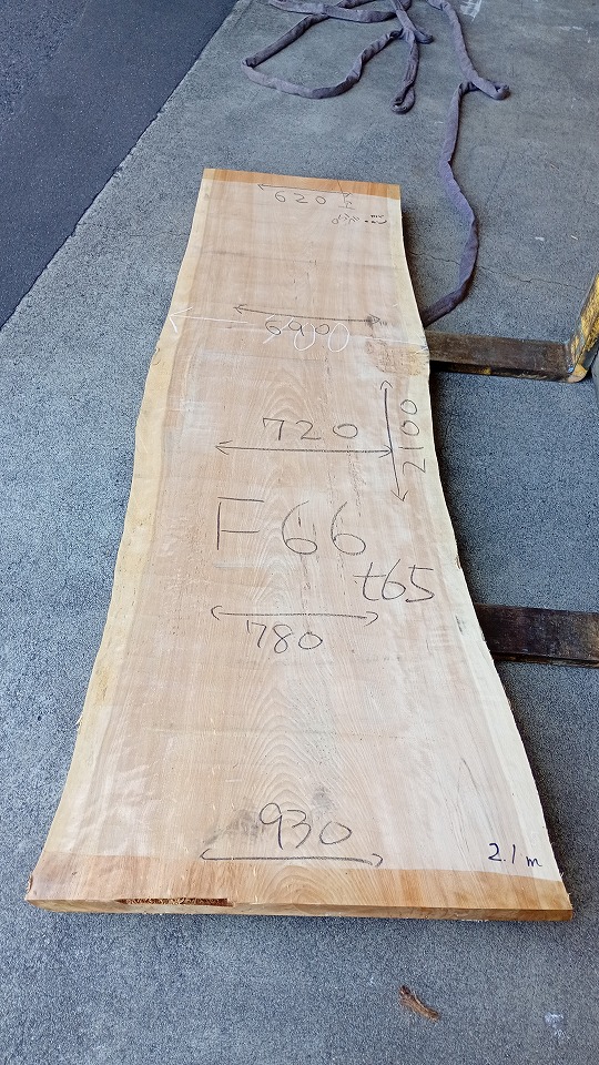 3805F66