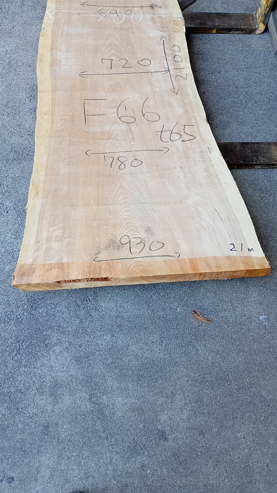 3805F66