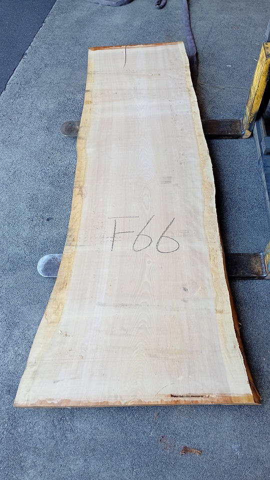 3805F66