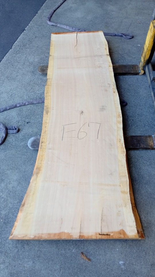 3805F67