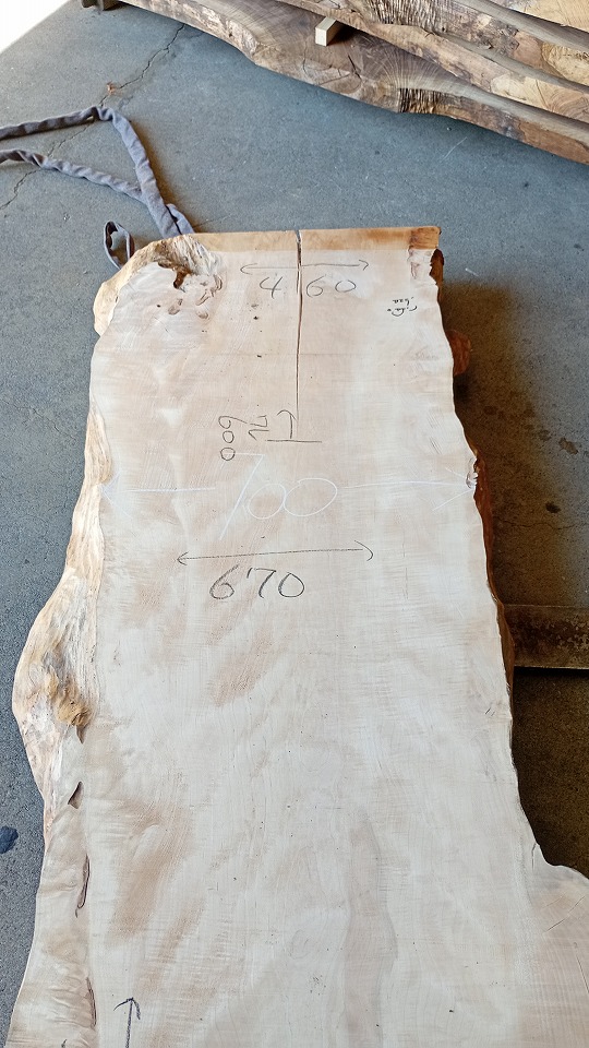 3805F69