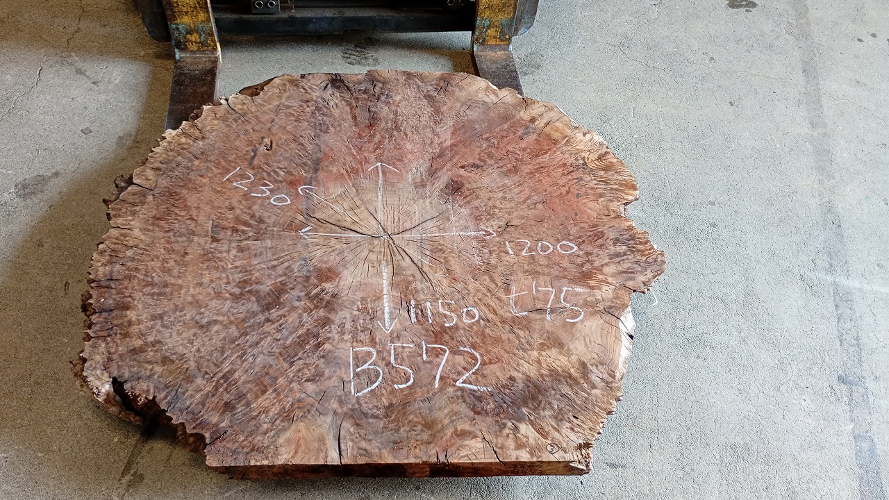 3806B572