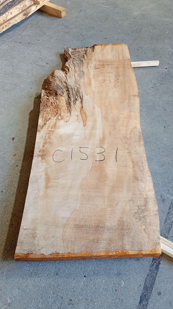 3806C1531