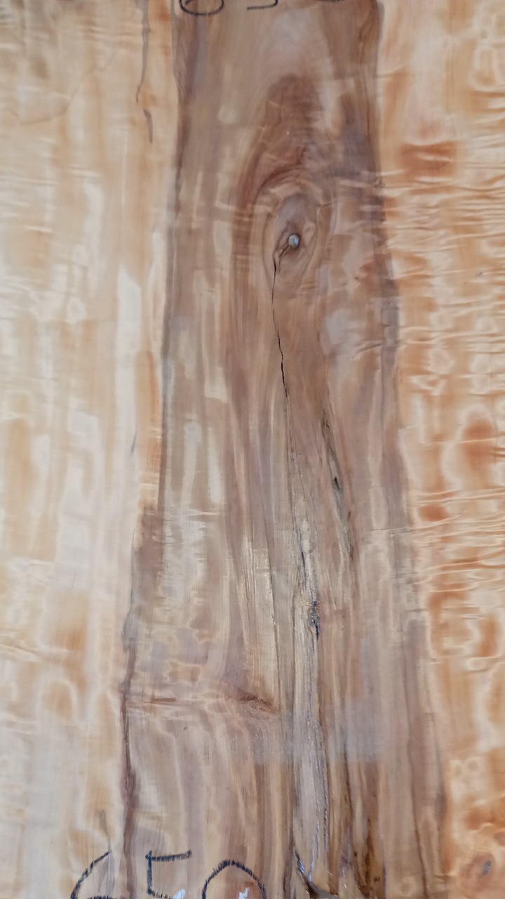 3806C1551