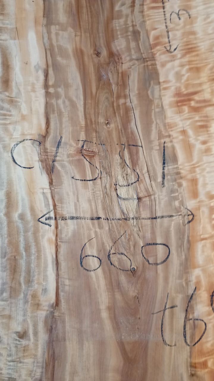 3806C1551