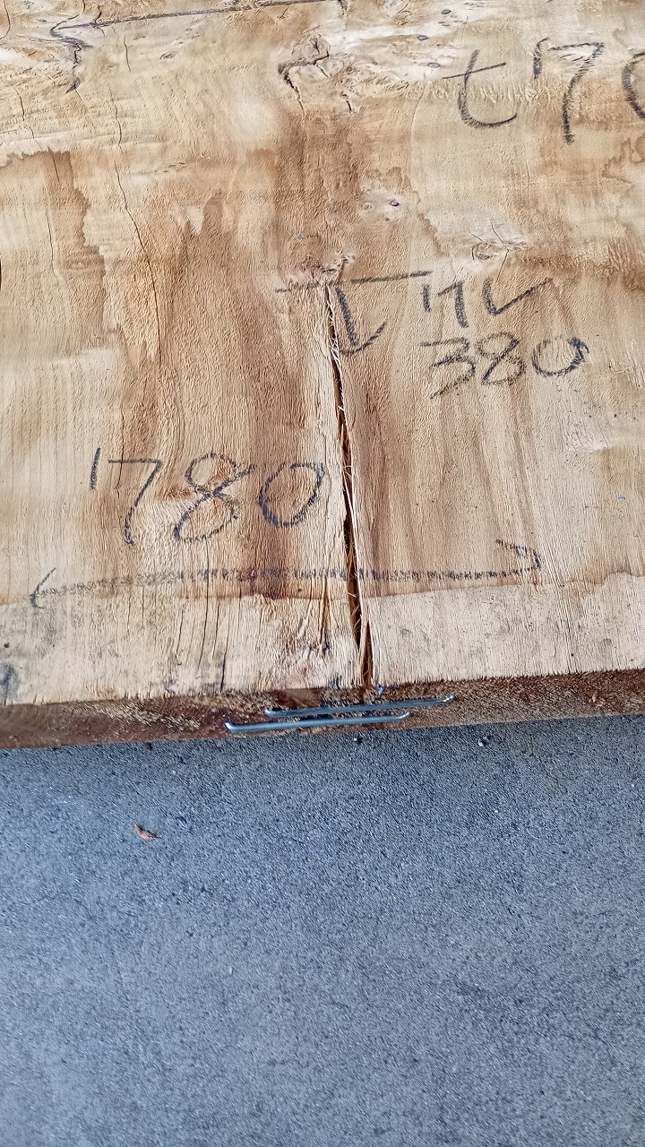 3806C231-1