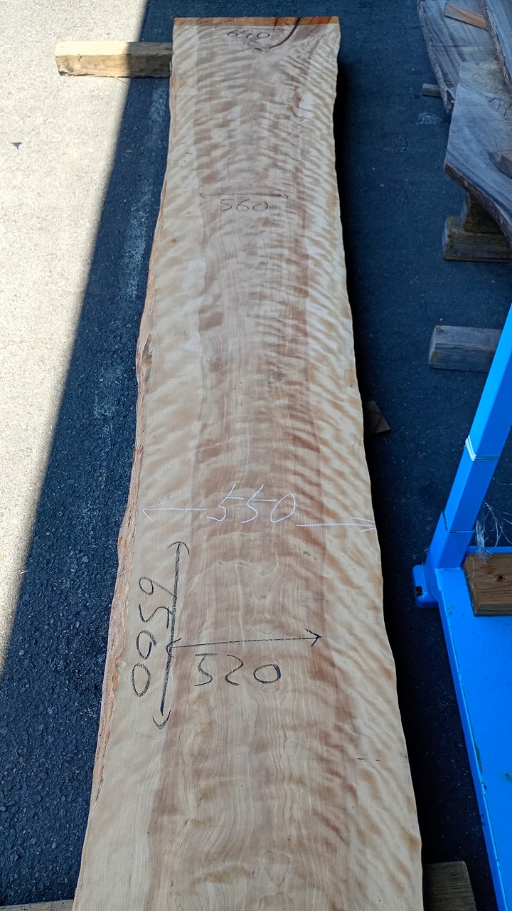 3806D170