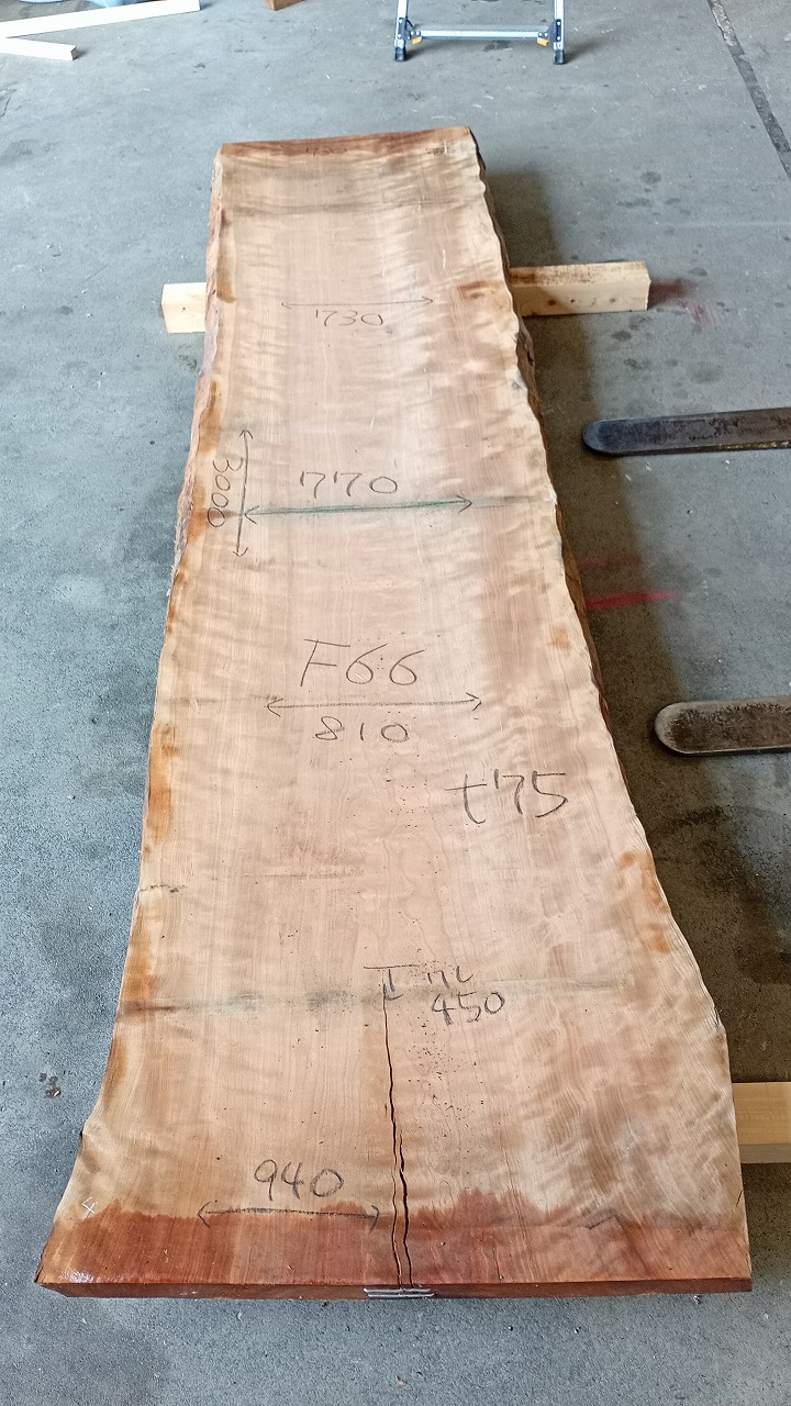 3806F66