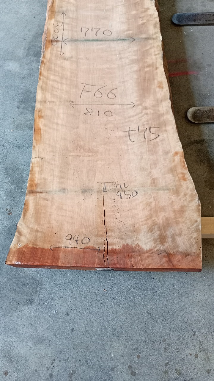 3806F66