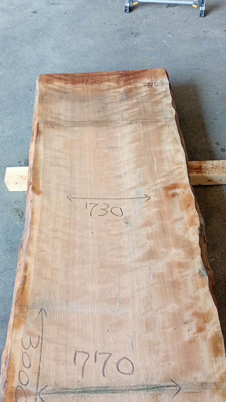 3806F66