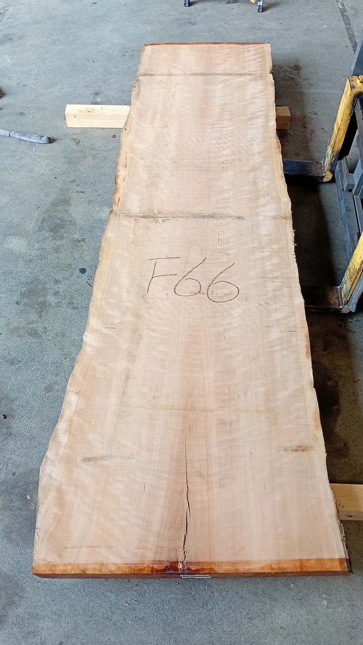 3806F66