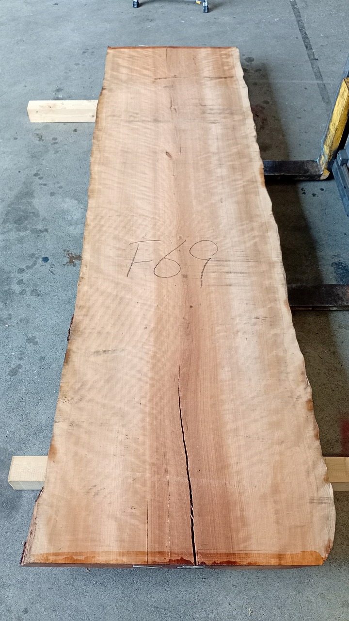 3806F69