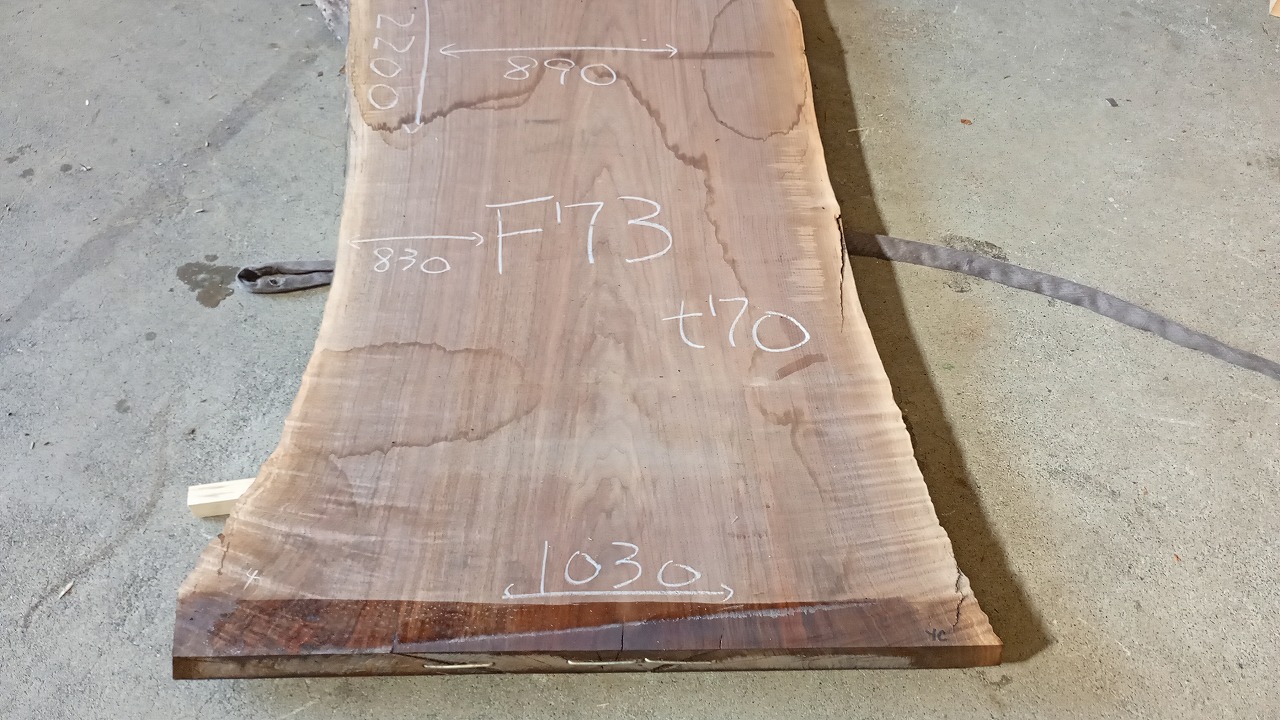 3806F73