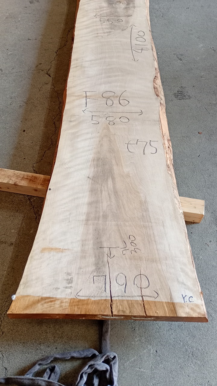 3806F86